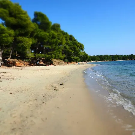 Apartamento La : Proche Plages & Vue Superbe Sur Les Iles D'or